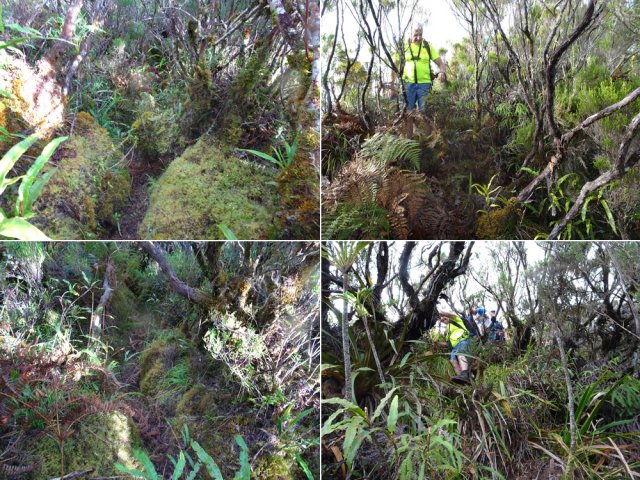 Quelques idées du sentier à suivre sur l'arête