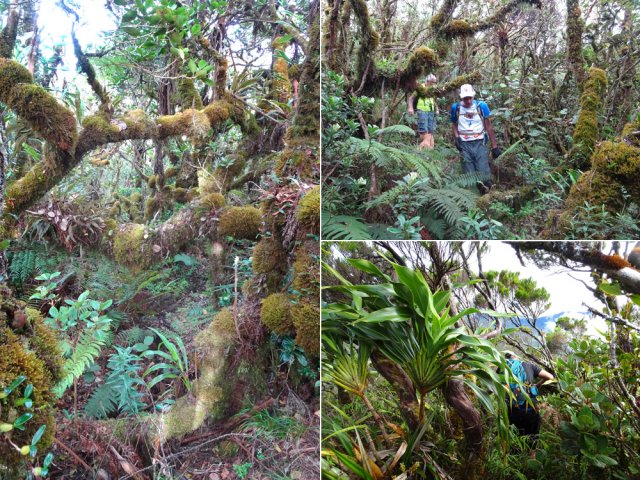 On passe de merveille en merveille de la nature