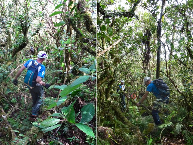Le sentier est moins marqué en fin de descente