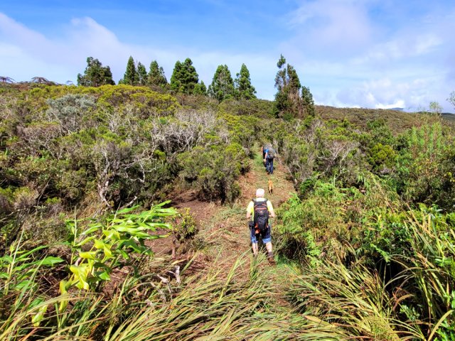 Boucle autour du vaste parking du Col de Bellevue