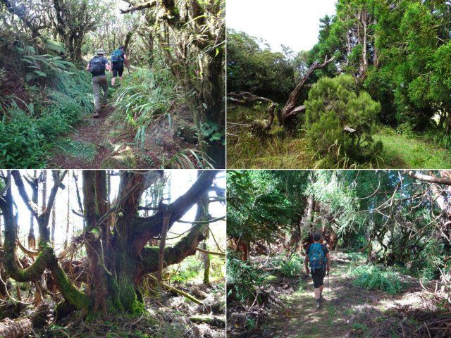 La très courte boucle clôture agréablement la partie végétalisée