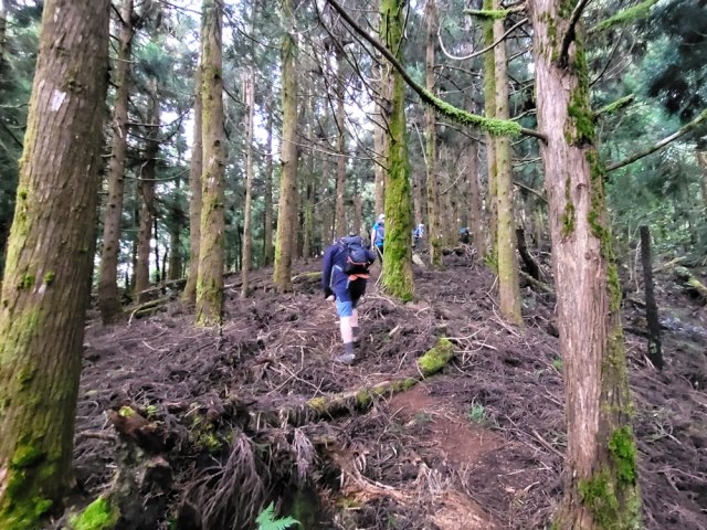 La pente est forte mais ce n'est rien comparé à ce qui suivra
