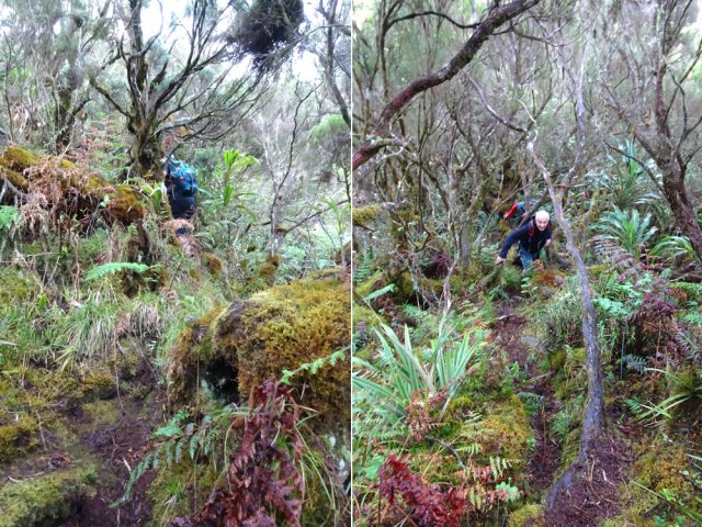 Très peu d'occasions de s'égarer tant la trace est visible