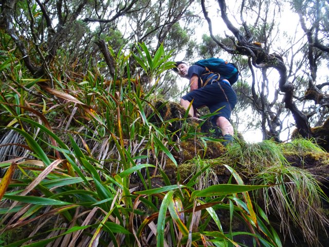 Par endroits, on s'élève de 50 cm à chaque pas