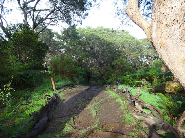 Une balise de trois couleurs sur son petit poteau