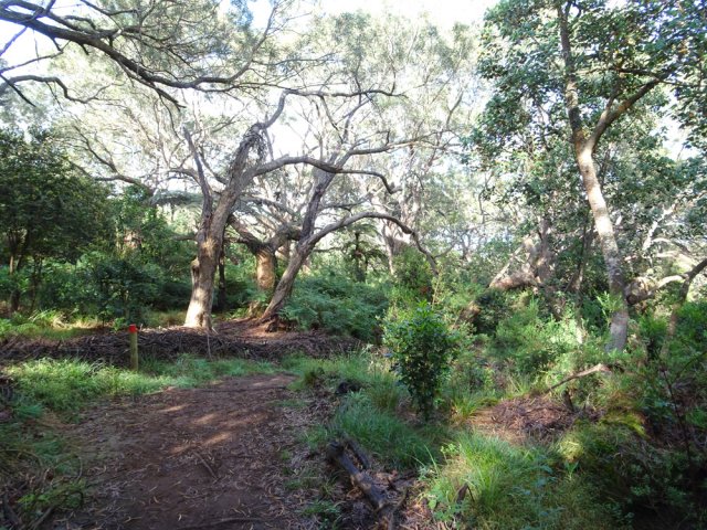 Début de la descente de la deuxième boucle