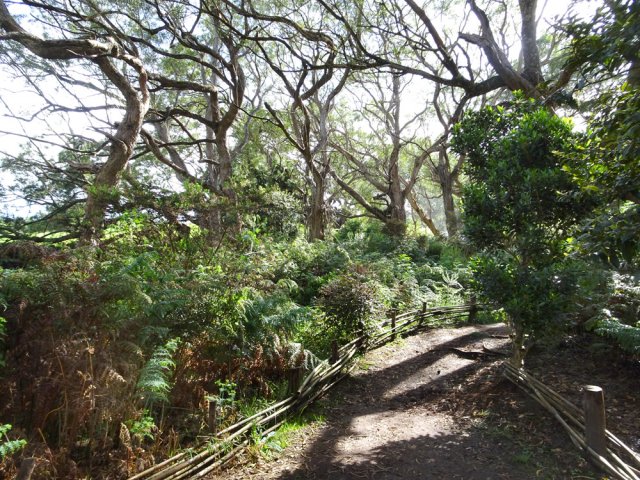 Le sentier devient très large à l'approche de la fin de la boucle