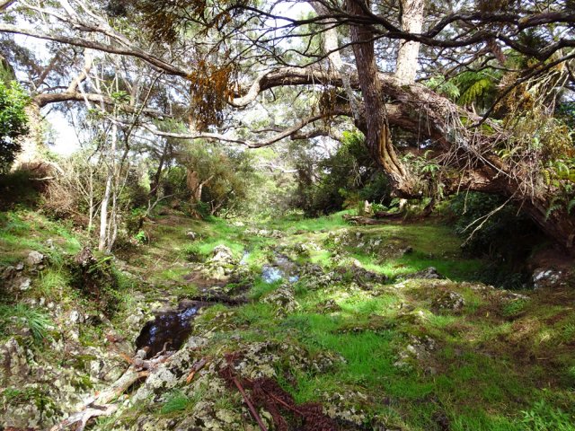 Un fond de ravine pierreux