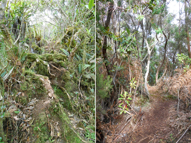 Contraste entre passages faciles et plus périlleux