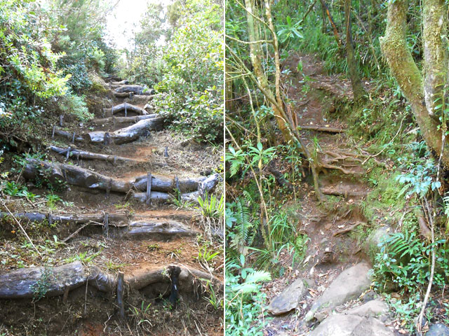 Quelques portions assez raides, facilitées ou non par des marches