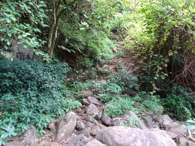 Le sentier repart en rive gauche après le bassin