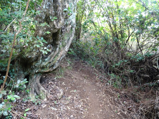 Les portions de sentier de la descente ressemblent à la montée de la première partie