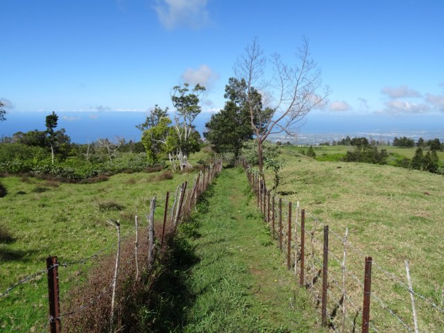 La fin du parcours traverse des pâturages