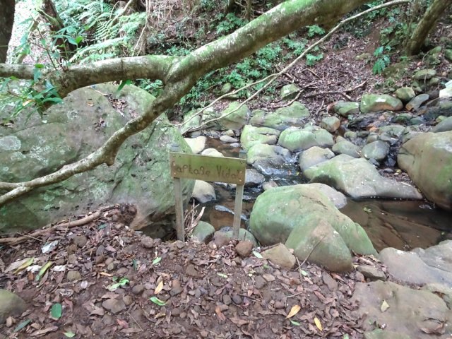 Le sentier du domaine Vidot passe près du captage discret dans les cailloux