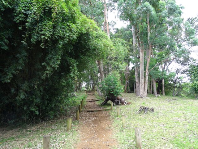 Fin de boucle très agréable et reposante sur le Domaine Vidot