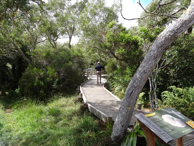 Une autre idée du parcours