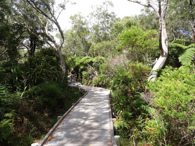 Quelques portions un peu ombragées