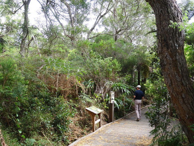 Des explications partout le long du "sentier"