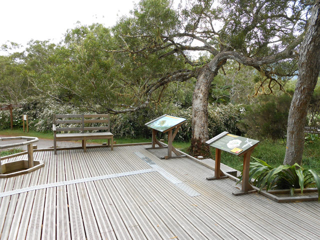 La grande plateforme en début de parcours