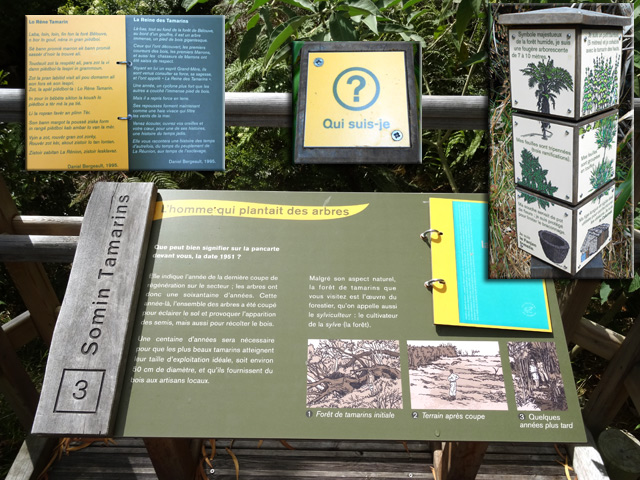 Quelques exemples de la présentation des plantes.