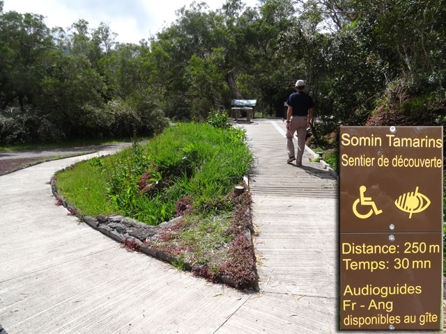 La montée bétonnée vers le départ du Somin Tamarins