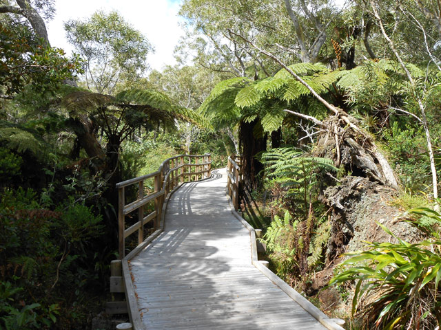 Cheminement à plat, très agréable dans les fanjans et tamarins