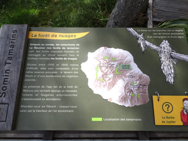 Pancarte sur les tamarins de la Réunion
