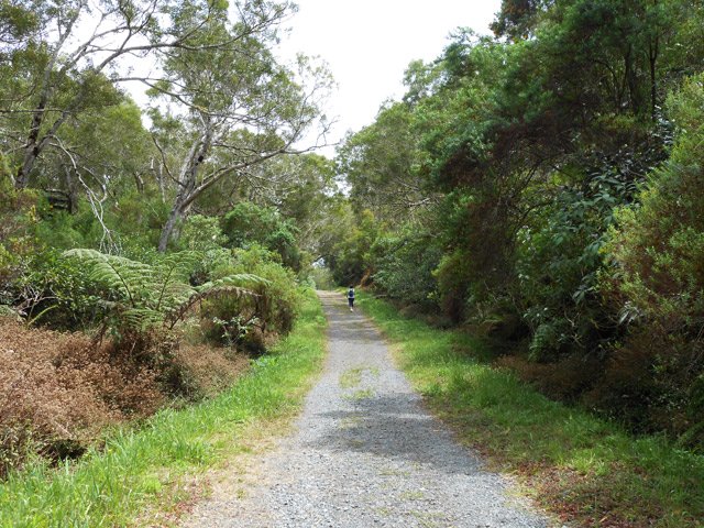 Agréable piste familiale dans une très belle forêt