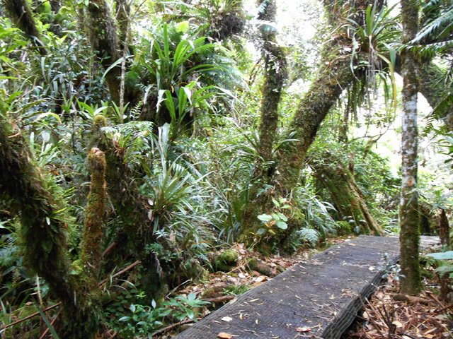 Le grillage qui recouvre le sentier est efficace pour éviter les glissades