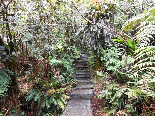 Les derniers mètres s'effectuent sur des pentes plus raides jusqu'au belvédère