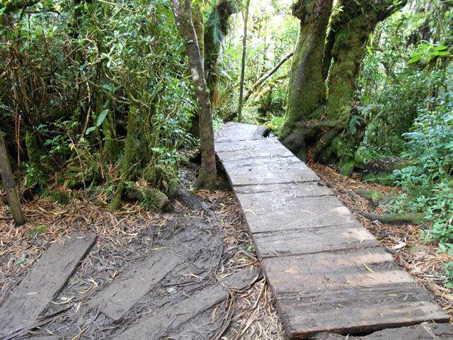 Tout droit le sentier, à gauche le sentier officiel laissé plus haut, beaucoup plus boueux