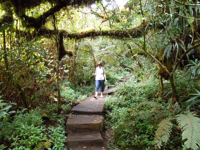 Depuis le croisement, l'arrivée au Trou de Fer s'effectue en descente