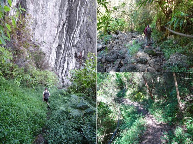 Descente vers Palmiste Rouge par Cap Blanc sur un sentier facile à suivre
