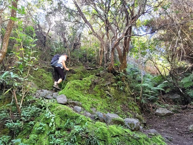 Quelques lacets sur le sentier de Bois Rouge