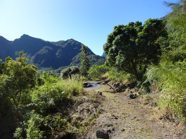 La fin du sentier de Bois Rouge qui rejoint la route de l'Îlet à Calebasse