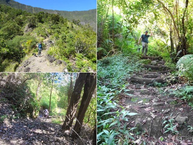 Le sentier de montée et de descente du Piton Gros Galet