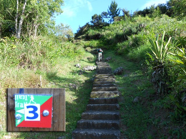 Balise du Trail Salazie et l'escalier de raccourci