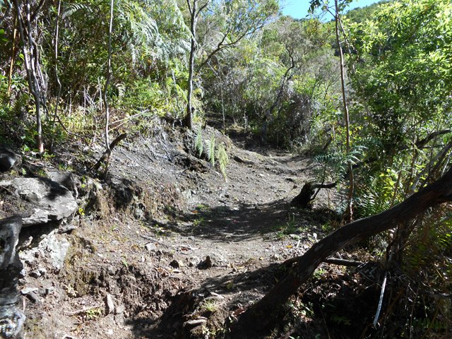Portion terreuse et un peu glissante à la descente