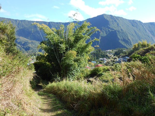 Le large sentier bordé de bambous. La Mare à Vieille Place et le Bé Massoune