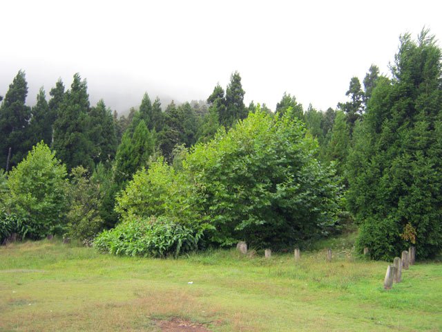 Les espaces verts près de la route en se rapprochant de la route
