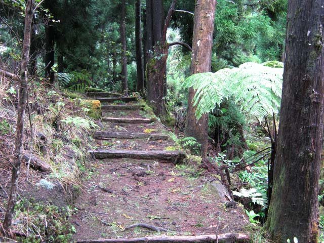 Une idée du sentier en direction des prairies