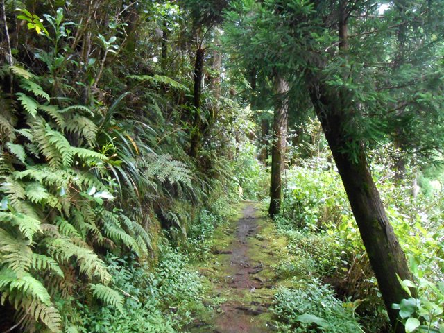 Une partie du sentier de retour