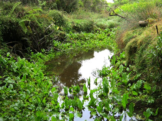 Une ravine très peu attrayante