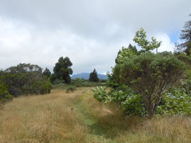 Sentier bien marqué dans les herbes en fin de boucle