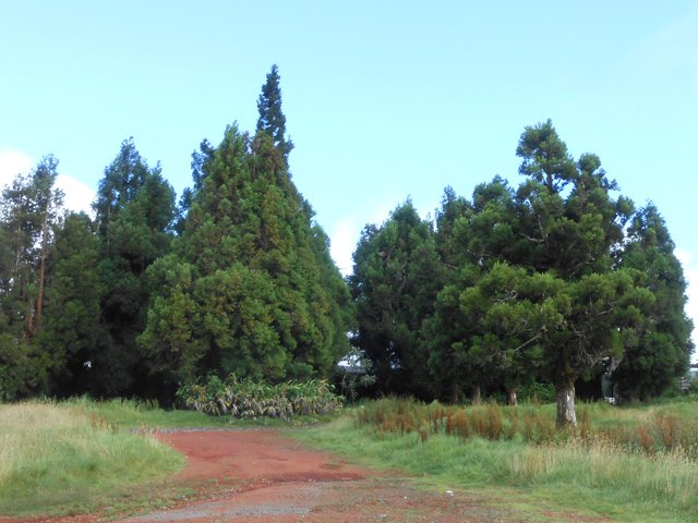 Le parking terreux à l'arrière de la discothèque
