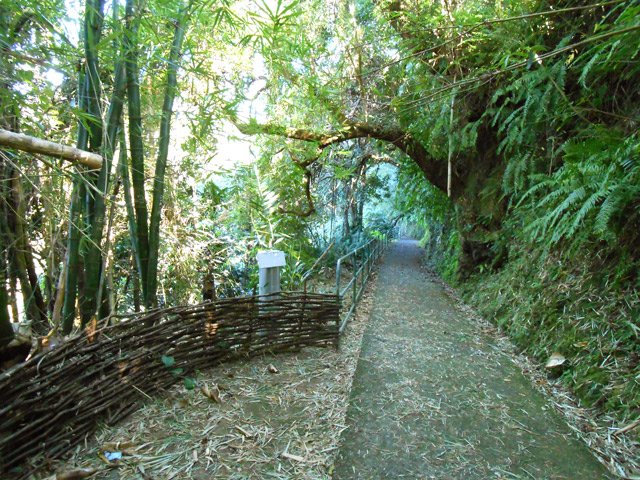 Début de la descente en pente faible