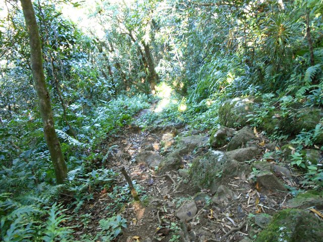 La remontée est un peu raide, pas insurmontable mais assez courte