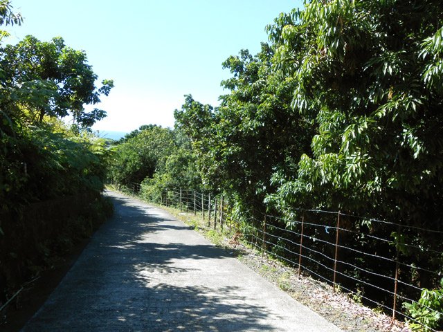 Fin de la descente, toujours dans les longanis
