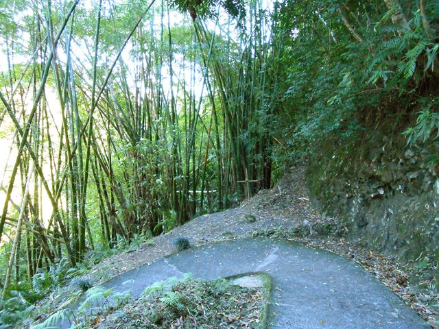 Attention, virage glissant par temps de pluie