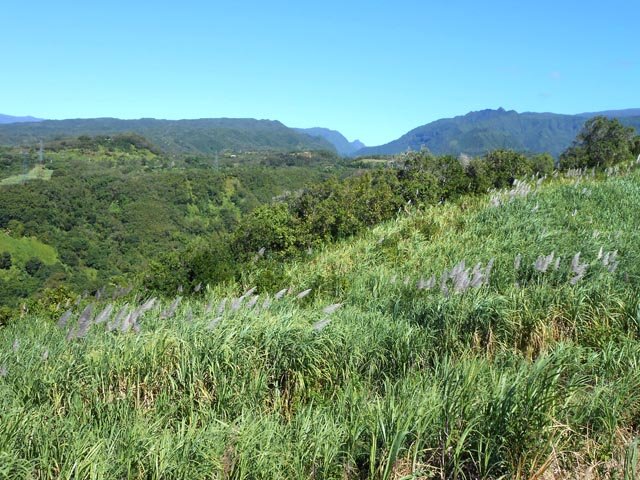 De la petite route, on domine la vallée de la Rivière des Marsouins